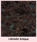 Labrador Antique
